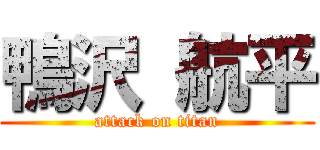 鴨沢 航平 (attack on titan)