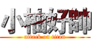 小柚好帥 (attack on titan)