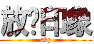 放电印象 (sky)