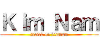 Ｋｉｍ Ｎａｍ (attack on kimnam)