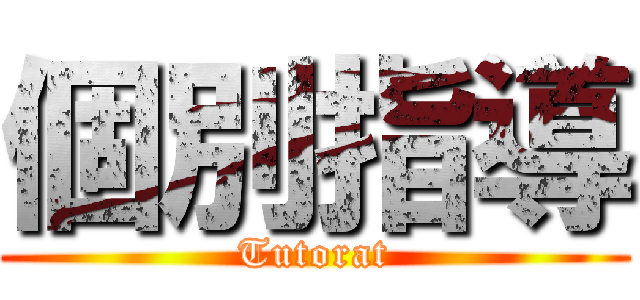 個別指導 (Tutorat)