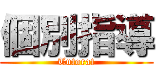 個別指導 (Tutorat)