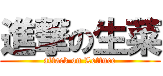 進撃の生菜 (attack on Lettuce)