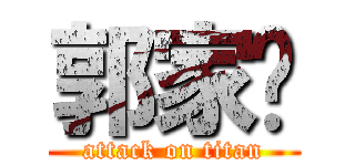 郭家瑋 (attack on titan)