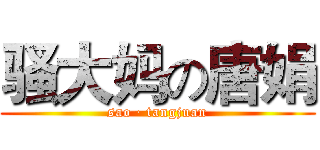 骚大妈の唐娟 (sao · tangjuan)