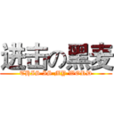 进击の黑麦 (THIS IS MY WORD)