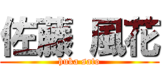 佐藤 風花 (huka sato)