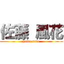 佐藤 風花 (huka sato)