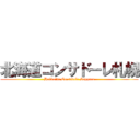 北海道コンサドーレ札幌 (Hokkaido Consadole Sapporo)