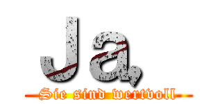 Ｊａ， (Sie sind wertvoll)