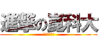 進撃の崑科大 (假日進修專班)