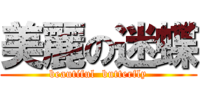美麗の迷蝶 (beautiful  butterfly)