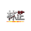 林芷 ()
