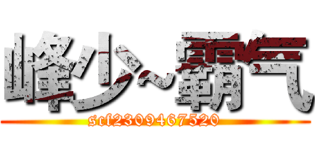 峰少~霸气 (scf2309467520)