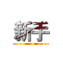 新手 ()