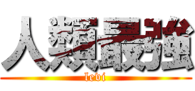 人類最強 (levi)