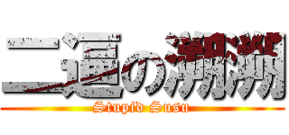二逼の溯溯 (Stupid Susu)