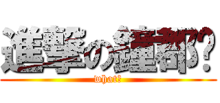 進撃の鐘郡荃 (what?)