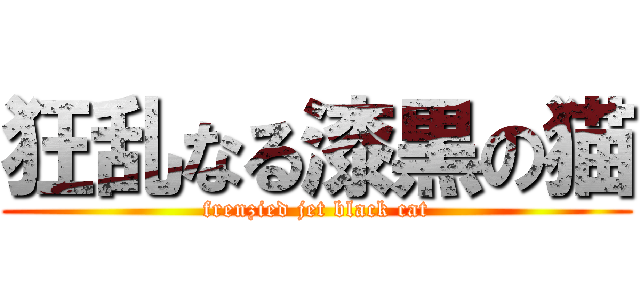 狂乱なる漆黒の猫 (frenzied jet black cat)