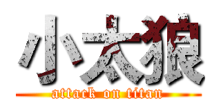 小太狼 (attack on titan)