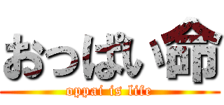 おっぱい命 (oppai is life)