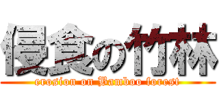 侵食の竹林 (erosion on Bamboo forest)