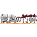 侵食の竹林 (erosion on Bamboo forest)