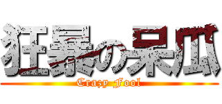 狂暴の呆瓜 (Crazy Fool)