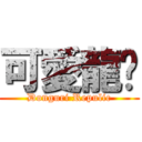 可愛龍貓 (Donguri Repulic)