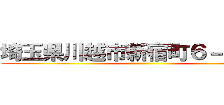 埼玉県川越市新宿町６－２－３３ ()