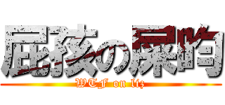 屁孩の屎昀 (WTF on liz)