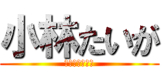 小林たいが (こばやしたいが)