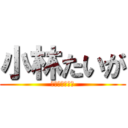 小林たいが (こばやしたいが)