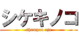 シケキノコ (shampoo aja)