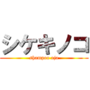 シケキノコ (shampoo aja)