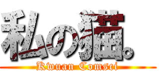 私の猫。 (Kwuan Comsci)