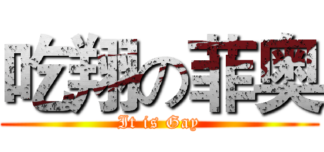 吃翔の菲奥 (It is Gay)