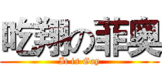 吃翔の菲奥 (It is Gay)