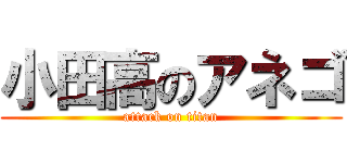 小田高のアネゴ (attack on titan)