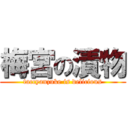 梅宮の漬物 (taccyanzuke is delicious)