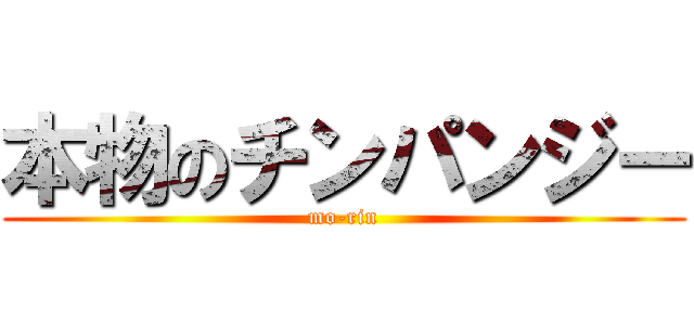 本物のチンパンジー (mo-rin)