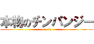 本物のチンパンジー (mo-rin)