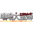 嗡嗡大蜜蜂 ( big bee)