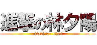 進撃の林夕陽 (attack on titan)