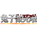 兔子做死啦 (Rabbit doing died)