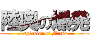 陸奥の爆発 (explosion of Mutsu)