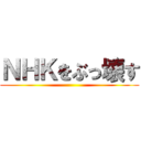 ＮＨＫをぶっ壊す ()