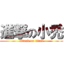 進撃の小禿 (attack on titan)