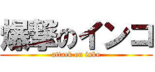 爆撃のインコ (attack on inko)