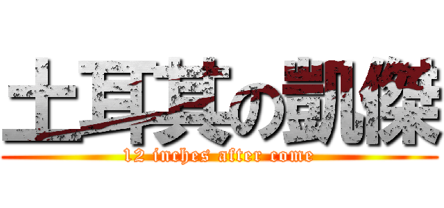 土耳其の凱傑 (12 inches after come)